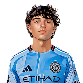 Player cutout icon