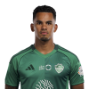 Player cutout