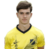 Player cutout
