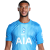 Player cutout
