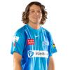 Player cutout