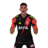 Player cutout