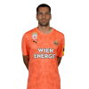 Player cutout