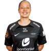 Player cutout