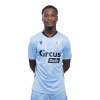 Player cutout