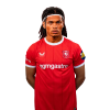 Player cutout