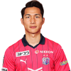Player cutout