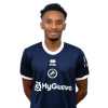 Player cutout