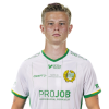 Player cutout