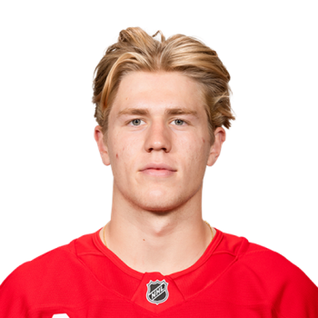 Michael Brandsegg-Nygård