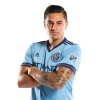 Player cutout