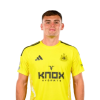 Player cutout