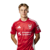 Player cutout