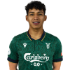 Player cutout