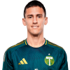 Player cutout