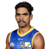 Player cutout