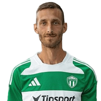 Martin Černek profile image