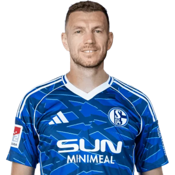 Edin Džeko profile image