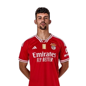 Tomás Araújo profile image