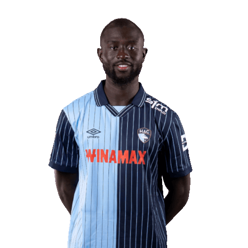 آرونا سانغانتي