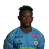 Player cutout