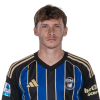 Player cutout
