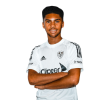 Player cutout