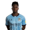 Player cutout