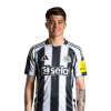 Player cutout