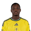 Player cutout
