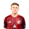 Player cutout