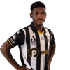 Player cutout
