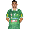 Player cutout