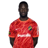 Player cutout