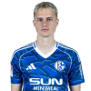 Player cutout