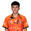 Player cutout