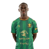 Player cutout