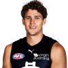 Player cutout