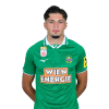 Player cutout