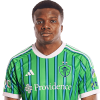 Player cutout