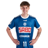 Player cutout