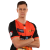Player cutout