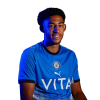 Player cutout