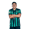 Player cutout