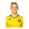 Player cutout