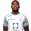 Player cutout