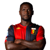 Player cutout
