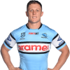 Player cutout