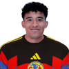 Player cutout