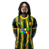 Player cutout